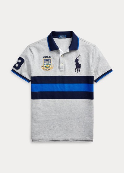 Polo Ralph Lauren Striped Big Pony Polo Shirt Herre Danmark (UQKPS1063)